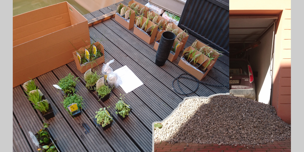 Steine und Pflanzen für das Pflanzenbecken bereit